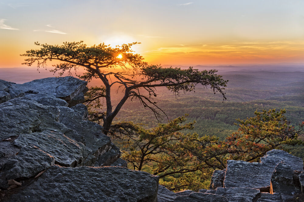 10. Alabama